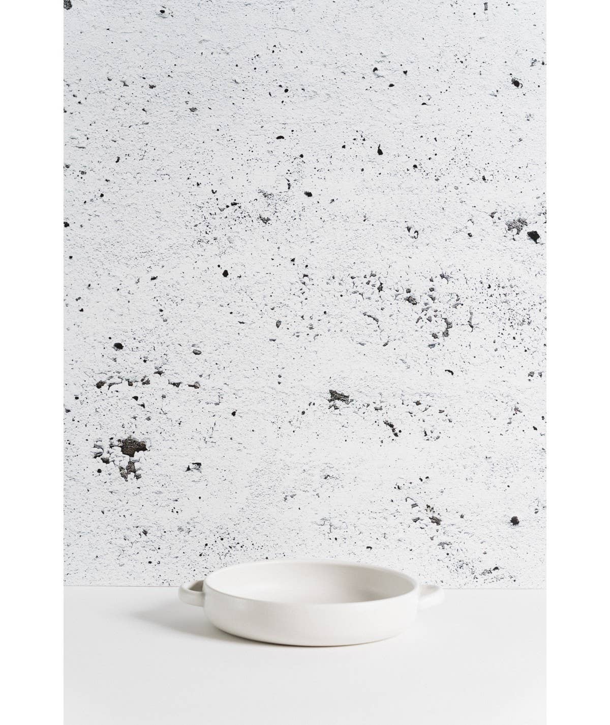 Stoneware Dinner Plate with Handles