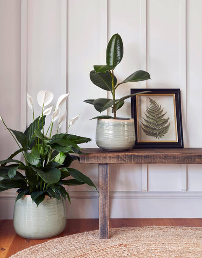 Como Hand Finished Indoor Ceramic Plant Pot D21cm & D26cm